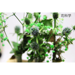 Alternative view of プリザーブドフラワー吸上げ液 【葉物(リーフ)・小花専用】 SF-M液 内容量:1L